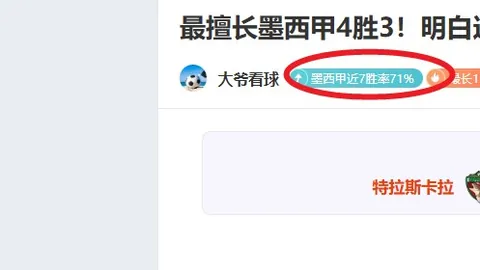 2025杭州“梦马”赛事开跑，低空卫士确保活动安全3-30 20：18