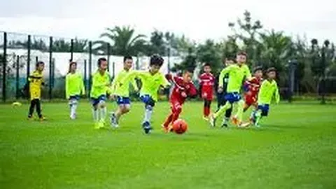 利兹联半场2-0领先狼队，专家解析：贾斯廷倒钩破门惊世一击